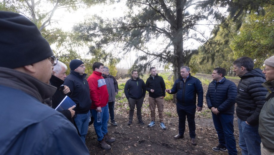 Especialistas internacionales recorren plantaciones de avellanos en el Valle de Viedma durante la gira técnica. Foto: Pablo Leguizamón.
