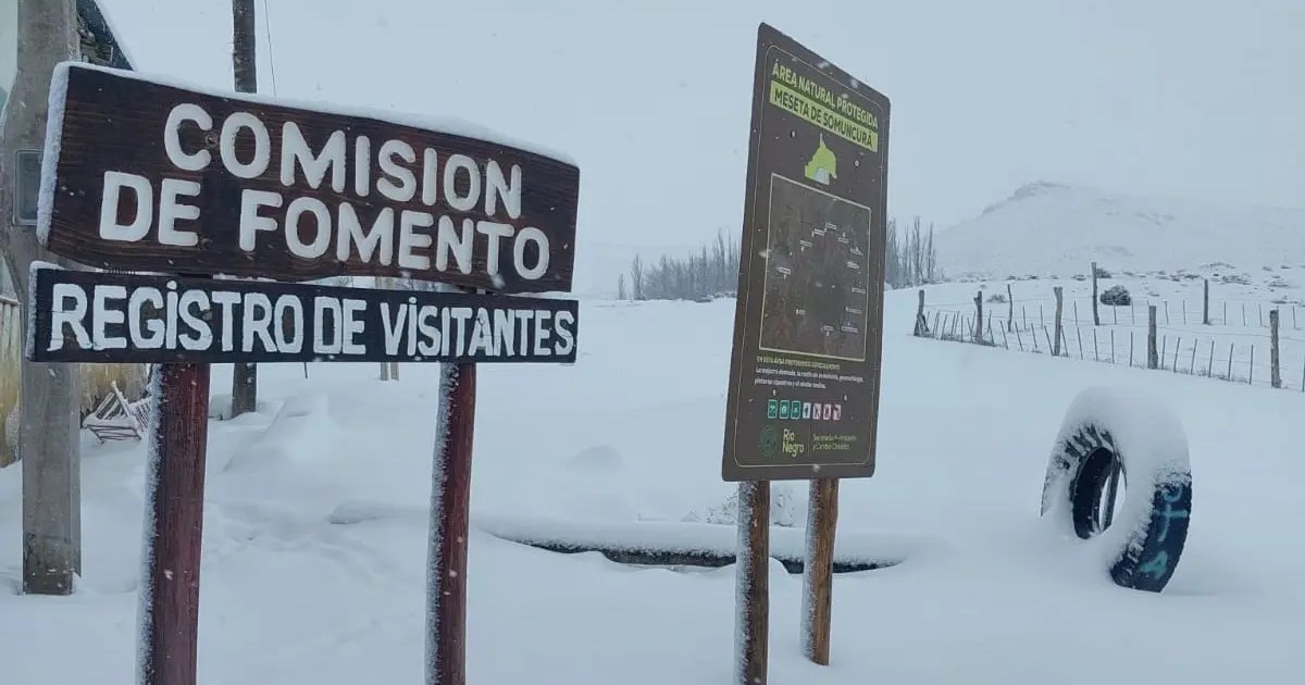 Rescatado tras caminar por la nieve luego de un accidente