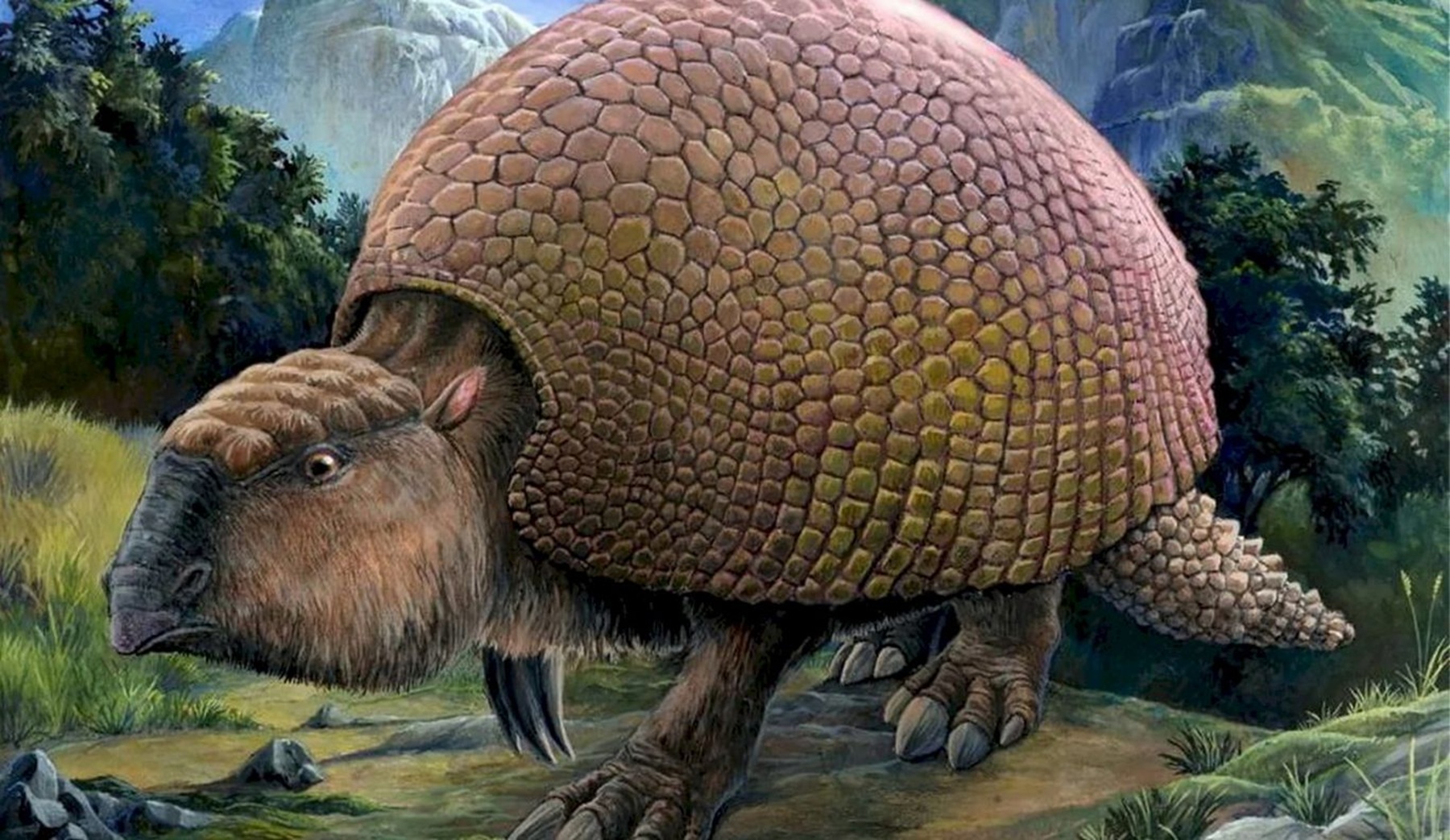 Descubren un inusual gliptodonte en Neuquén que reinterpreta la historia prehistórica