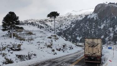 Tragedia en Pino Hachado: murió un camionero mientras esperaba cruzar a Chile en medio del temporal