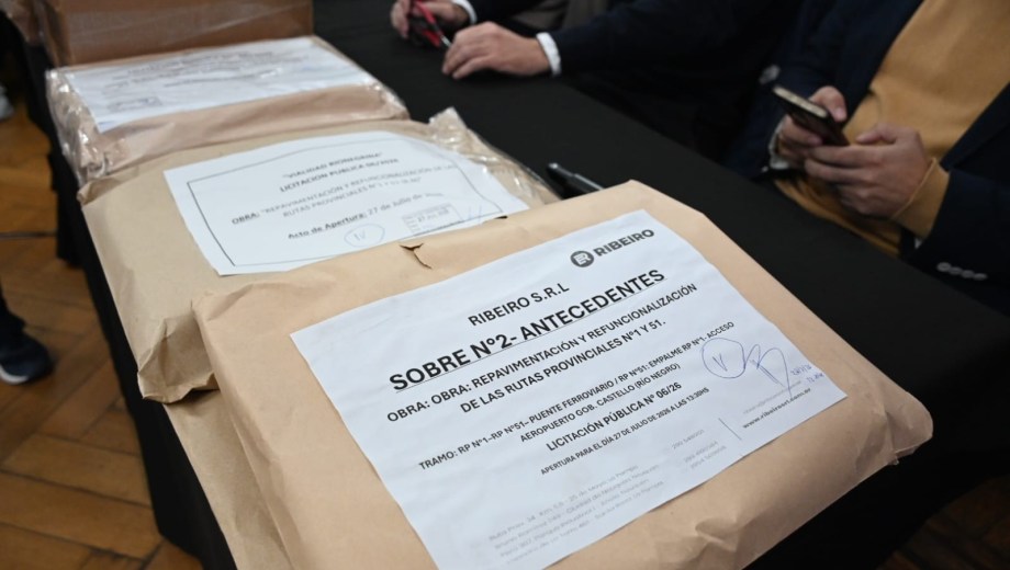 El acto de apertura consistió en los sobres de antecedentes de las empresas y, próximamente, se conocerán las ofertas económicas. Foto Gentileza.