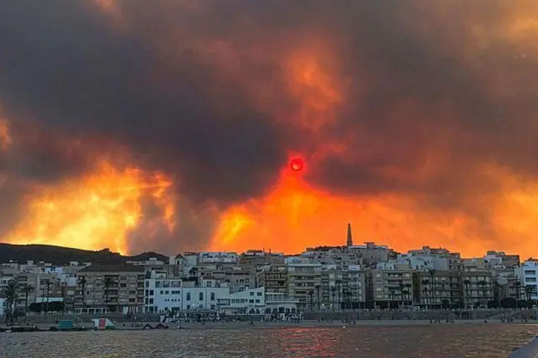 Incendios forestales en Almería causan 12 muertes y devastan más de 6.000 hectáreas