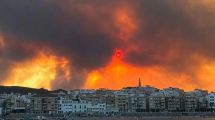Imagen de Incendios forestales en Almería: 12 muertos por el fuego que ya arrasó más de 6.000 hectáreas