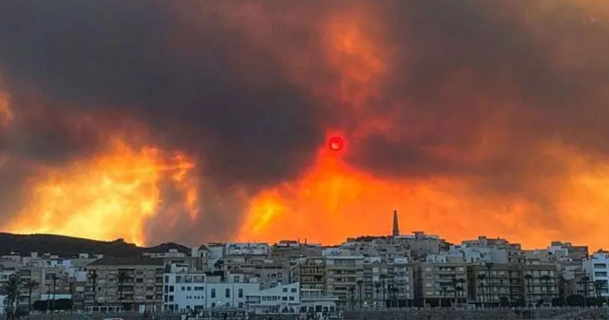 Incendios forestales en Almería causan 12 muertes y devastan más de 6.000 hectáreas