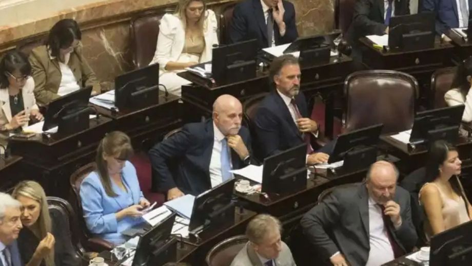La Cámara del Senado de la Nación (Foto: archivo)
