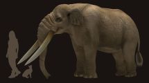Imagen de De Alaska a la Patagonia, los cazadores humanos iban detrás de animales gigantes
