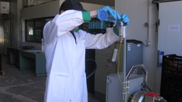Nebulización en poscosecha como alternativa tecnológica en aplicaciones fitosanitarias