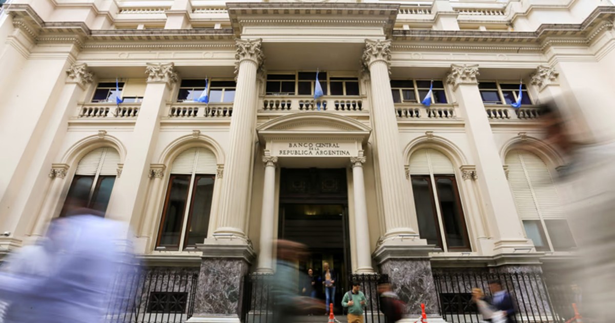 El Banco Central detiene su serie de compras de dólares tras 135 ruedas
