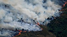 Imagen de España declaró la emergencia nacional por incendios descontrolados en Madrid y Francia
