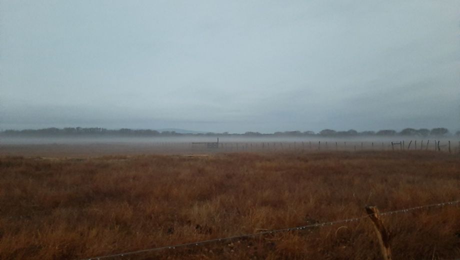 La zona productiva ganadera de Neuquén espera que la lluvia mejore los campos (Sociedad Rural del Neuquén)