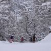 Imagen de Para que todos puedan disfrutar la nieve: más 17.500 residentes reciben beneficios en Cerro Catedral