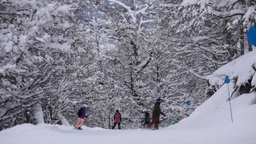 Para que todos puedan disfrutar la nieve: más 17.500 residentes reciben beneficios en Cerro Catedral