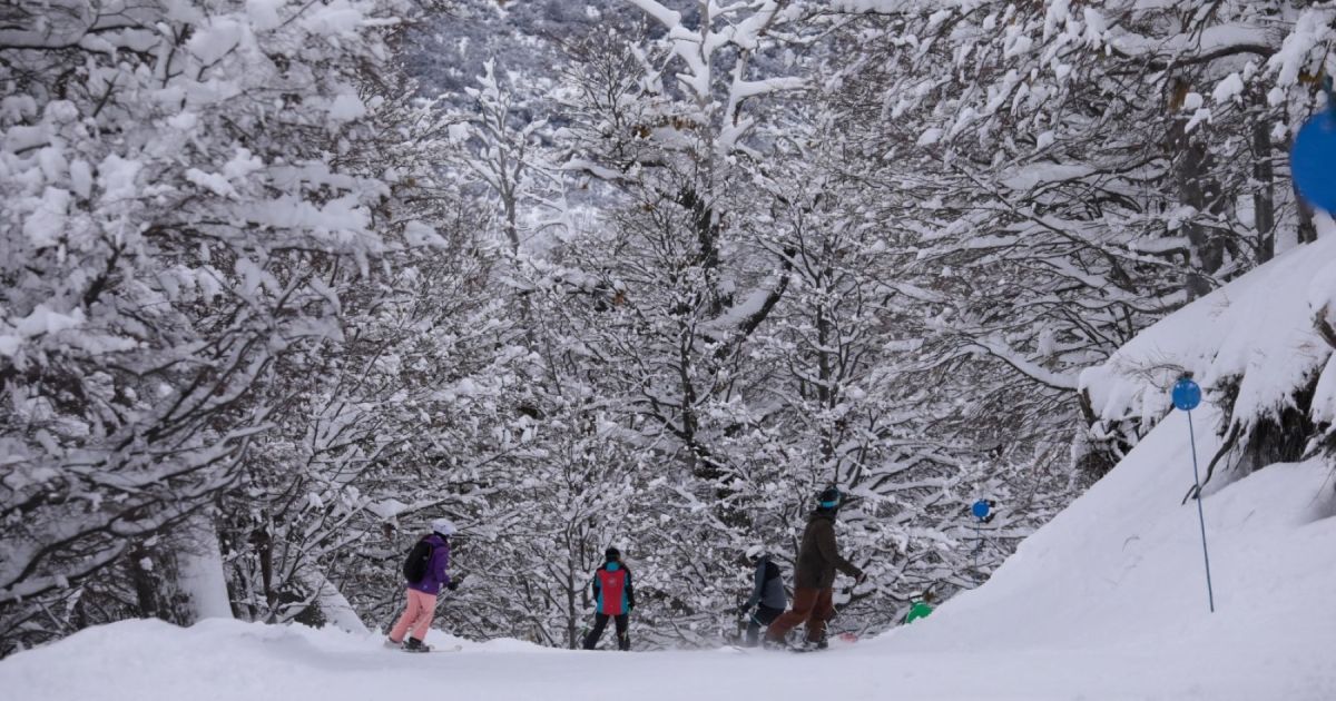 Para que todos puedan disfrutar la nieve: más 17.500 residentes reciben beneficios en Cerro Catedral