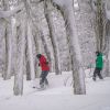 Imagen de La nieve reactiva las expectativas del turismo en Neuquén y un mercado internacional se despierta