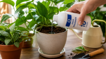 Imagen de Regar las plantas con agua oxigenada: el truco casero que ayuda a fortalecer las raíces