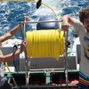 Imagen de Premian a un científico de Conicet: descubrió que una especie altera el mar en Río Negro y Chubut