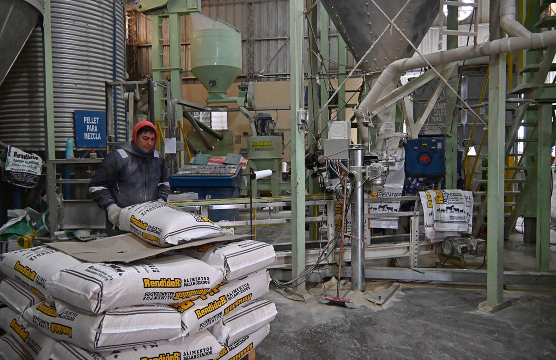 La planta industrial, por dentro: Rendidor genera empleo permanente.