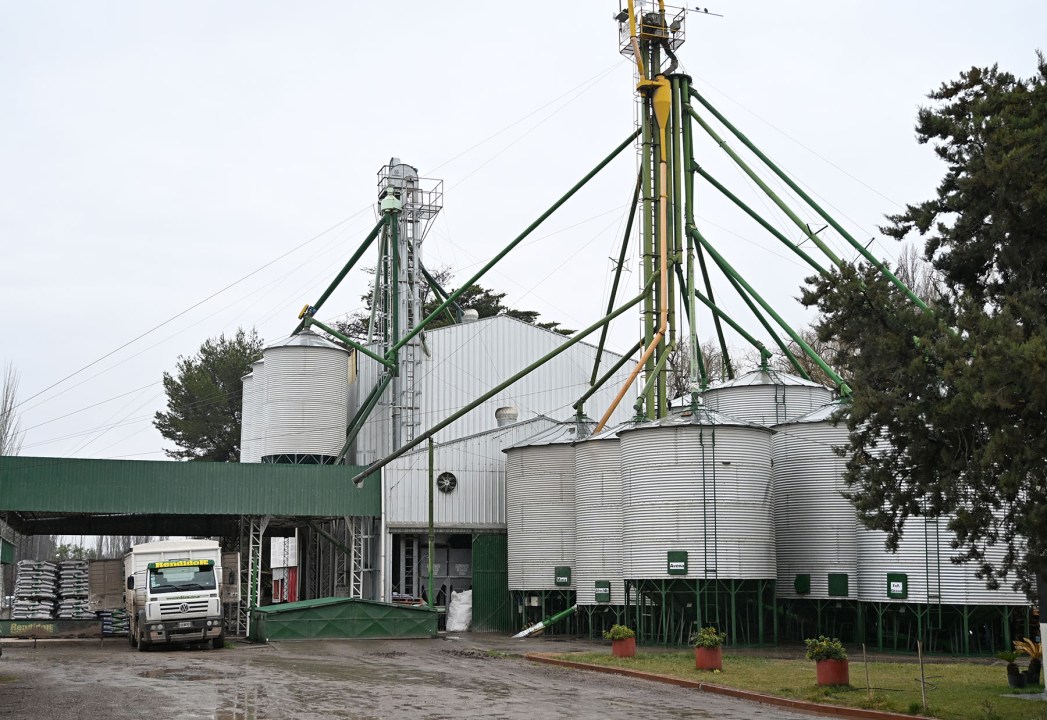 La planta industrial de Rendidor, ubicada en Río Negro.