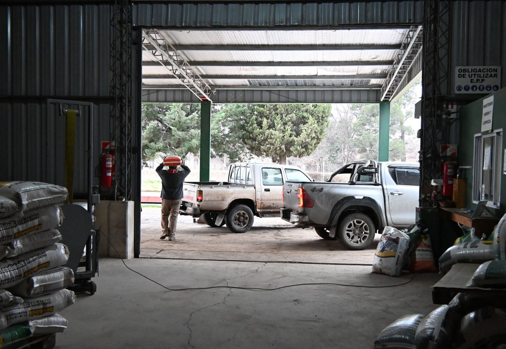 Pese a la lluvia, el ingreso de camionetas al establecimiento para comprar alimento balanceado fue incesante durante la visita de Río Negro Rural.