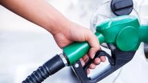Imagen de Ley de biocombustibles: CEPREB se opuso al nuevo proyecto y planteó una alternativa para el reparto del corte obligatorio