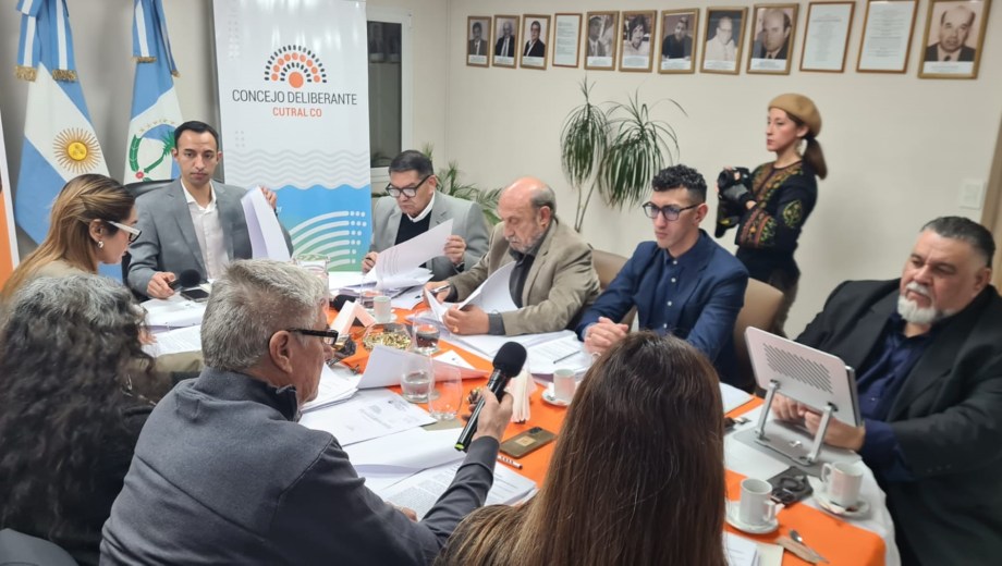 El despacho para archivar el juicio político fue aprobado por unanimidad. (Foto: Andrea Vazquez)