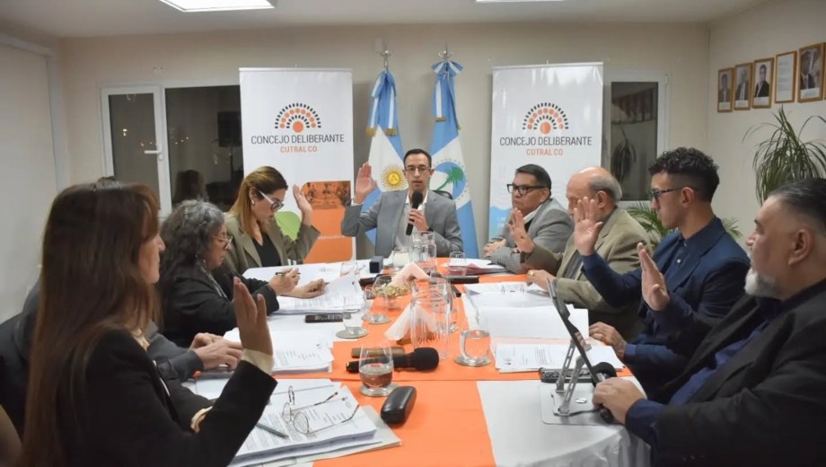La norma fue aprobada por unanimidad del Concejo Deliberante. (Foto: gentileza)