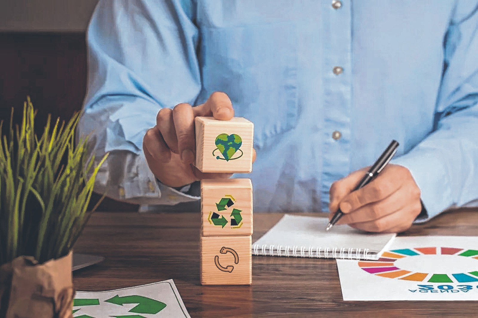 Cómo proteger nuestro entorno: la economía circular