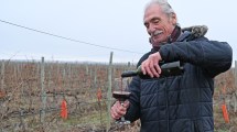 Imagen de Dejó su trabajo para emprender a los 58 años: hoy tiene un viñedo de 17 hectáreas en la Patagonia y exporta sus vinos