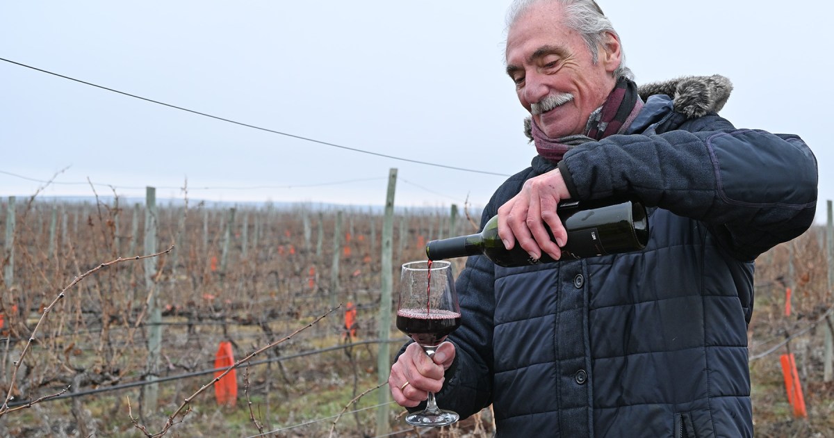 Emprendimiento vitivinícola en Neuquén: un cambio de vida a los 58 años