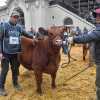 Imagen de La mitad de un ternero Angus criado en la Patagonia se vendió por 81 millones de pesos en Palermo