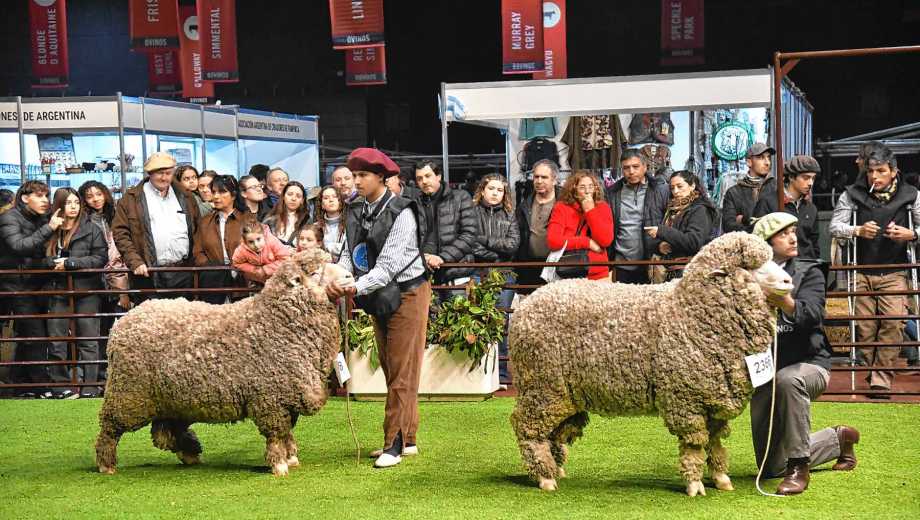Expo Rural de Palermo 2026. Foto: Enrique García Medina.
