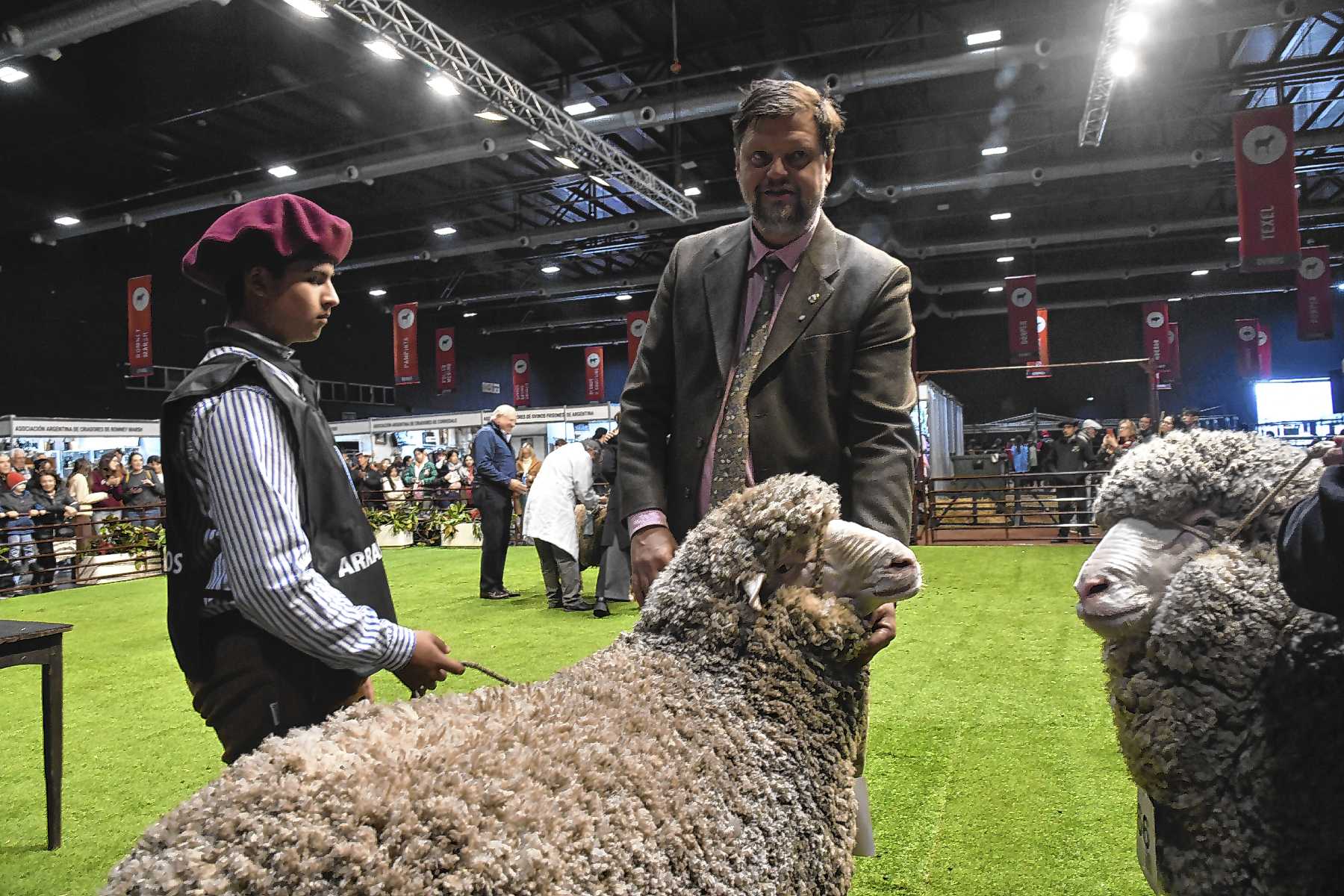 La Patagonia brilla en la Expo Rural de Palermo 2026 con los merinos campeones