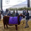 Imagen de Expo Rural 2026: lágrimas y abrazos en una jornada inolvidable para dos cabañas patagónicas