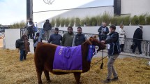 Imagen de La Patagonia hace historia en la Expo Rural 2026: dos cabañas lograron premios este miércoles