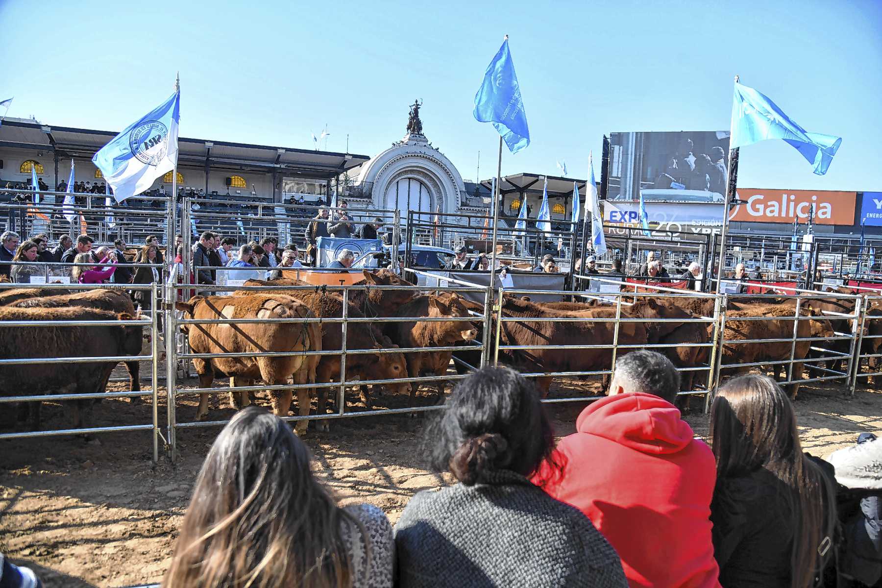 Inauguración de la Expo Rural de Palermo 2026 y su impacto en las cabañas patagónicas