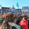 Imagen de Empezó la Expo Rural de Palermo 2026: las dos señales positivas para las cabañas patagónicas, entre los nervios y las cábalas mundialistas