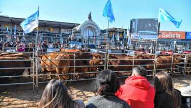 Empezó la Expo Rural de Palermo 2026: las dos señales positivas para las cabañas patagónicas, entre los nervios y las cábalas mundialistas