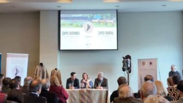 Neuquén lanzó la Expo Rural 2027 en Palermo y alertó por la sequía: «75 milímetros en siete meses»
