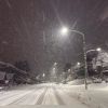 Imagen de Nuevas nevadas intensas en la cordillera: así están las rutas de Neuquén y Río Negro hoy, 22 de julio