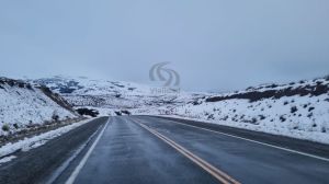 Temporal de nieve en la cordillera: así están las rutas de Neuquén, Río Negro y los pasos a Chile hoy, martes 28 de julio