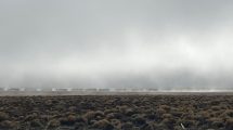 Imagen de Pino Hachado abrió, pero casi 600 camiones siguen esperando para cruzar a Chile: Cardenal Samoré restringió el tránsito