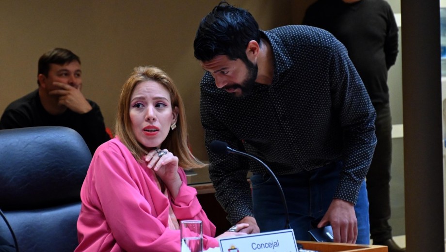 La concejala Silvina Franco es la autora de la iniciativa que bajo la lupa. Foto: Marcelo Ochoa.