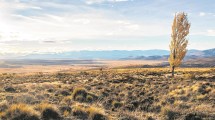 Imagen de El foresight estratégico de Roca y la Patagonia que hoy disputa la IA