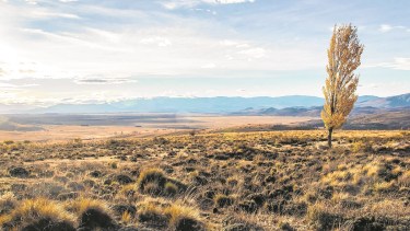 El foresight estratégico de Roca y la Patagonia que hoy disputa la IA