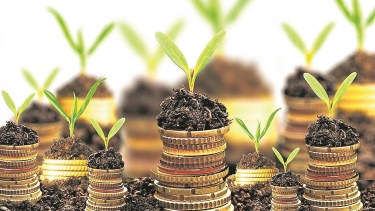 El camino del liberalismo junto al desarrollo sustentable