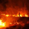 Imagen de Ola de calor e incendios voraces en Europa: evacuaron a más de 300.000 personas en Francia y España