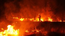 Imagen de Ola de calor e incendios voraces en Europa: evacuaron a más de 300.000 personas en Francia y España