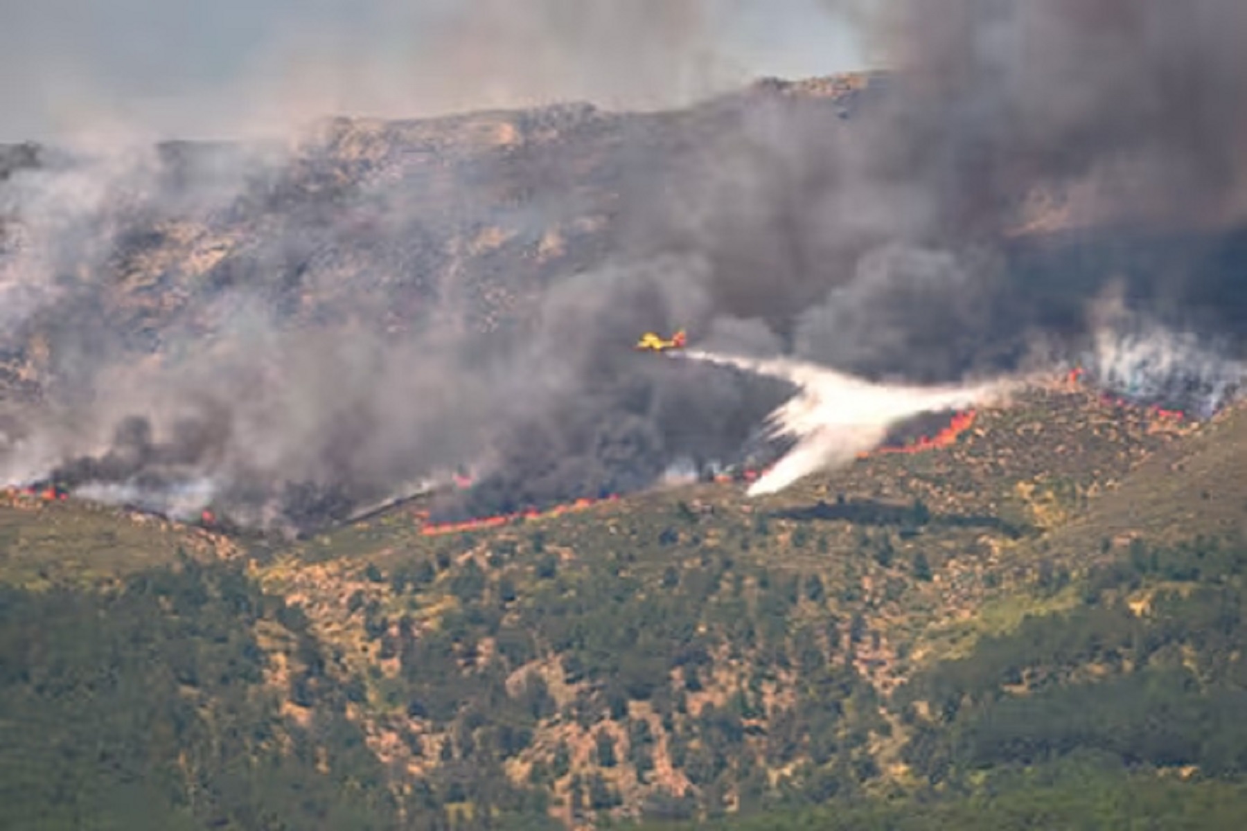 Incendios forestales causan evacuaciones masivas en Francia y España