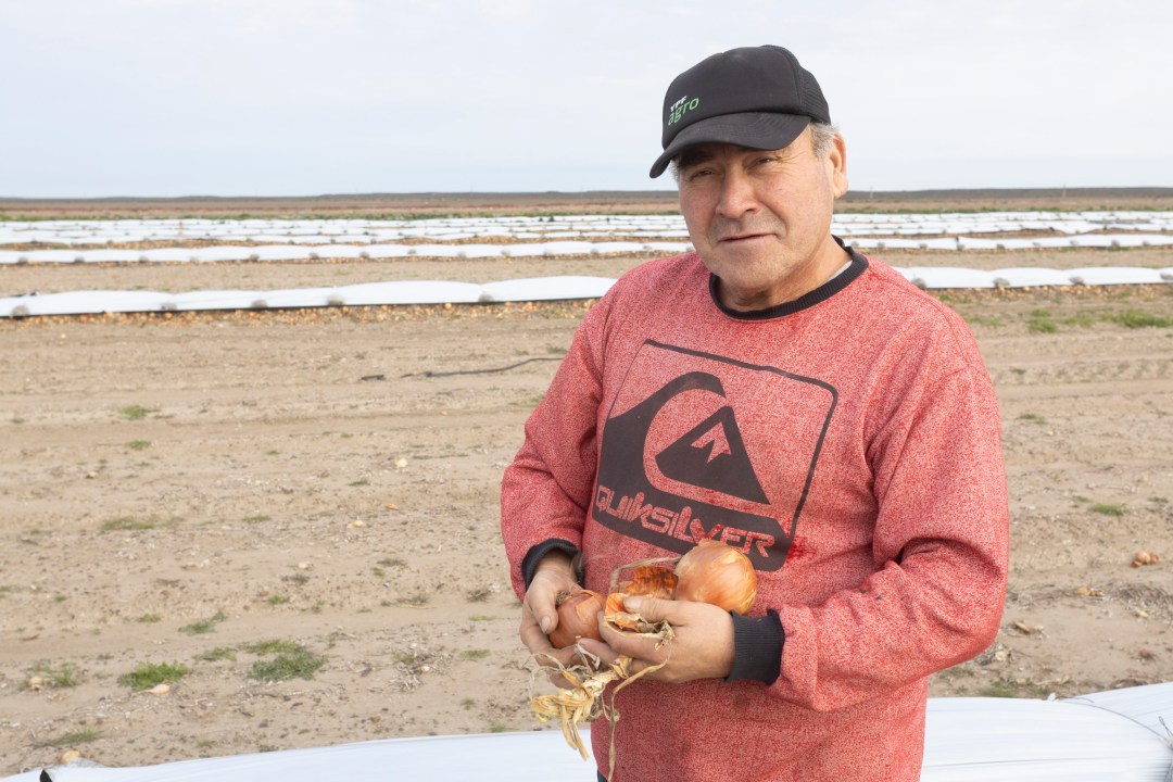 Javier Novoa llegó desde Chile cuando tenía tres años y hoy produce cebolla en el Valle de Viedma, donde trabaja junto a su familia. Fotos: Pablo Leguizamon.