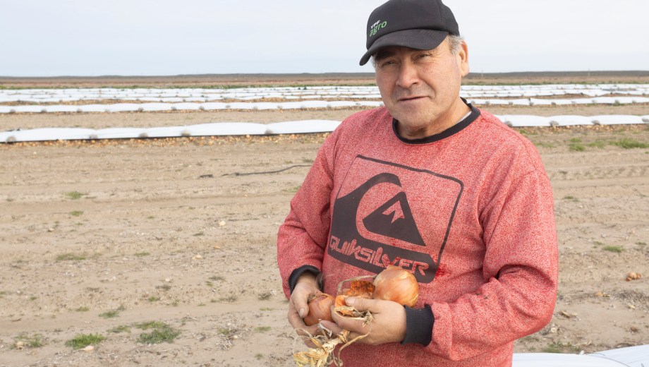 Así fue el recorrido desde el sur de Chile hasta la Patagonia del productor que hoy cultiva 100 hectáreas de cebolla
